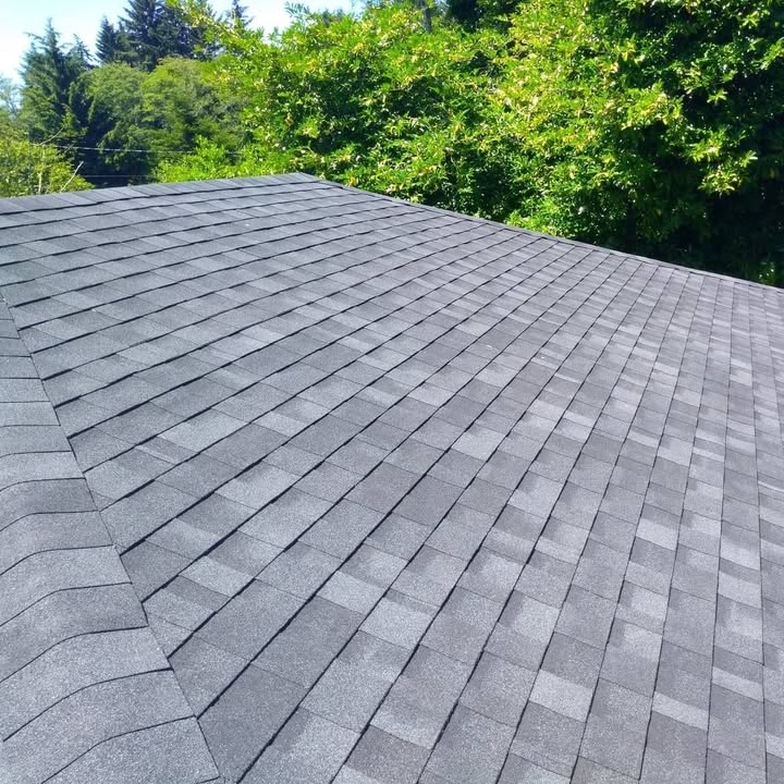 Close detail of a finished asphalt shingle roof against surrounding trees